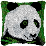 Panda P-104