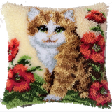 Katze P-116