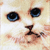 Katt R-113