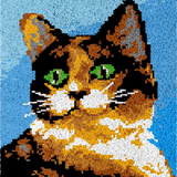 Katze R-135