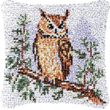 Owl P-121