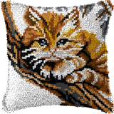 Gatto P-135