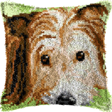 Hund P-129
