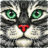 Cat R-127