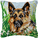 Dog P-172