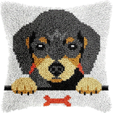 Chien P-156