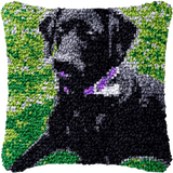 Chien P-151