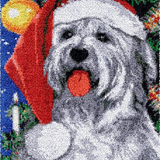 Dog R-137