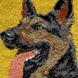 Dog R-138