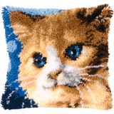 Cat P-109