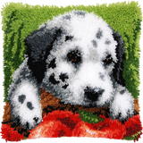 Dog P-120