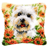 Dog P-117