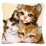 Cat P-119