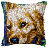 Dog P-127