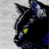 Cat R-143