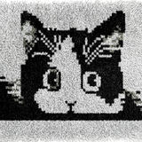 Cat R-140