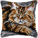 Cat P-102