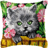 Gray Kitten