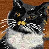 Cat R-105