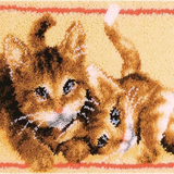 Kitten Twice