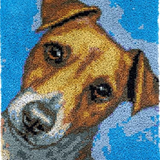 Dog R-127