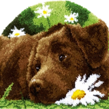 Dog R-112