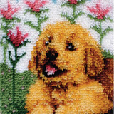 Dog R-110