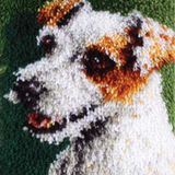 Dog R-126