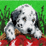 Dog R-104