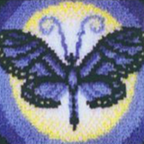 Butterfly R-119