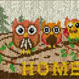 Owl R-110