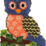 Owl R-111