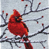 Bird R-105
