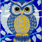Owl R-123