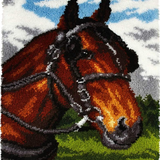 Horse R-102