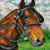 Horse R-104