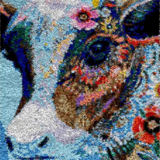 Cow R-104