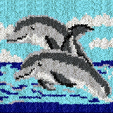 Dolphin R-101