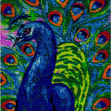 Peacock R-102