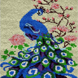 Peacock R-101