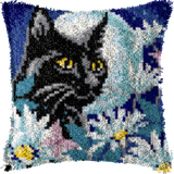 Cat P-123