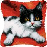 Cat P-112