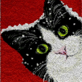 Cat R-132