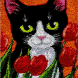 Cat R-133