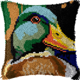 Bird P-134