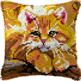 Cat P-135
