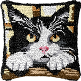 Cat P-136