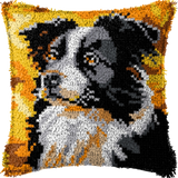 Dog P-164