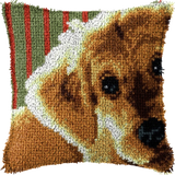 Dog P-146