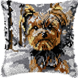 Dog P-165